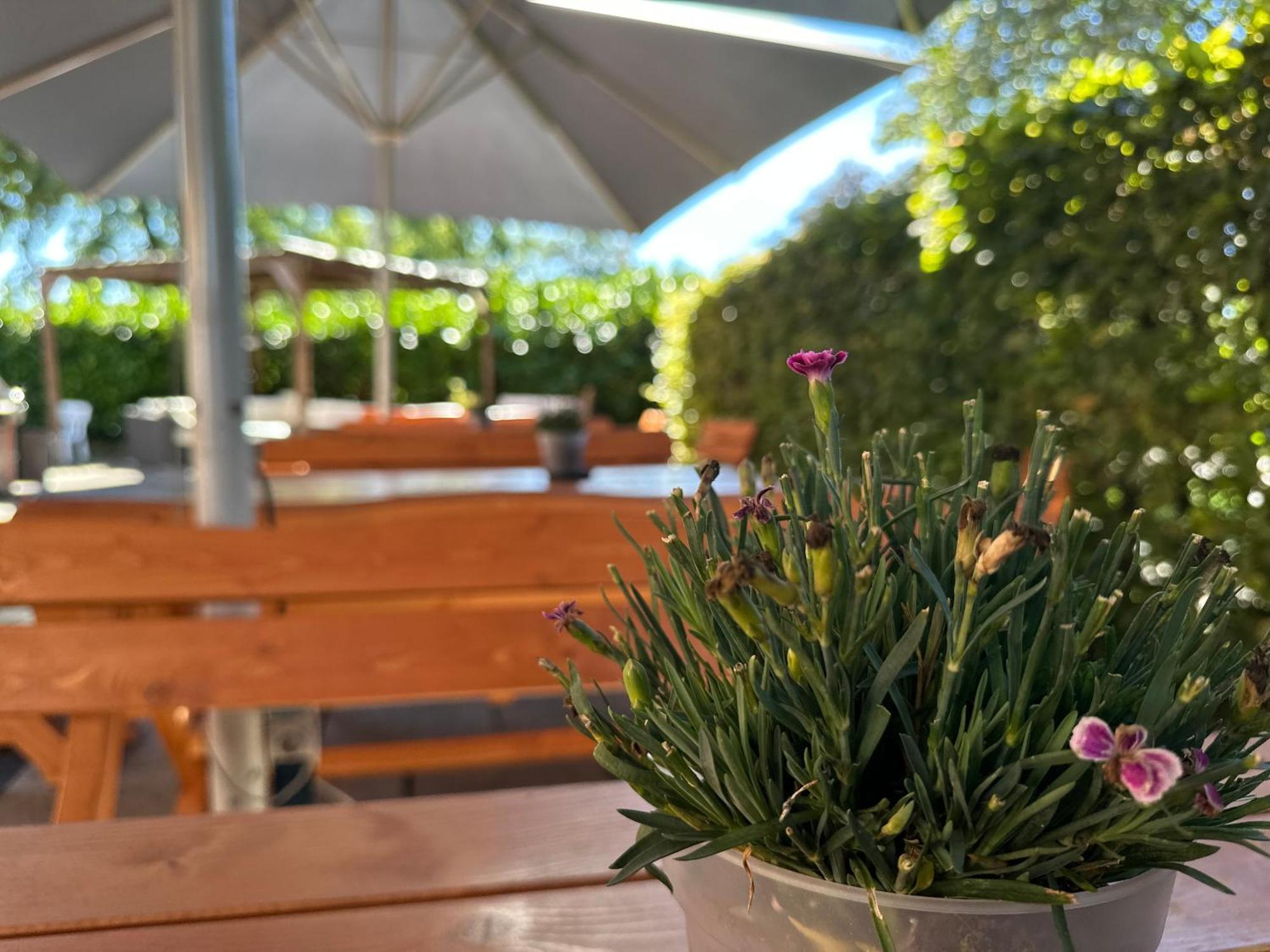 Hotel Schultheiss Hameln ハーメルン エクステリア 写真